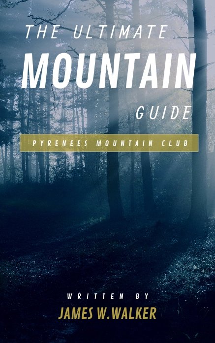 Book Layout Design 2